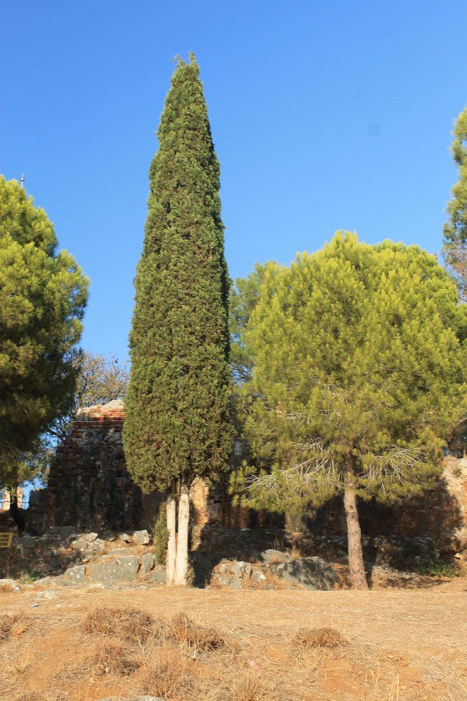 Природа Турции