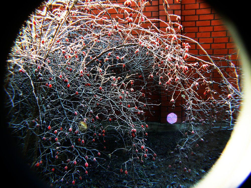 Photograph by Алина