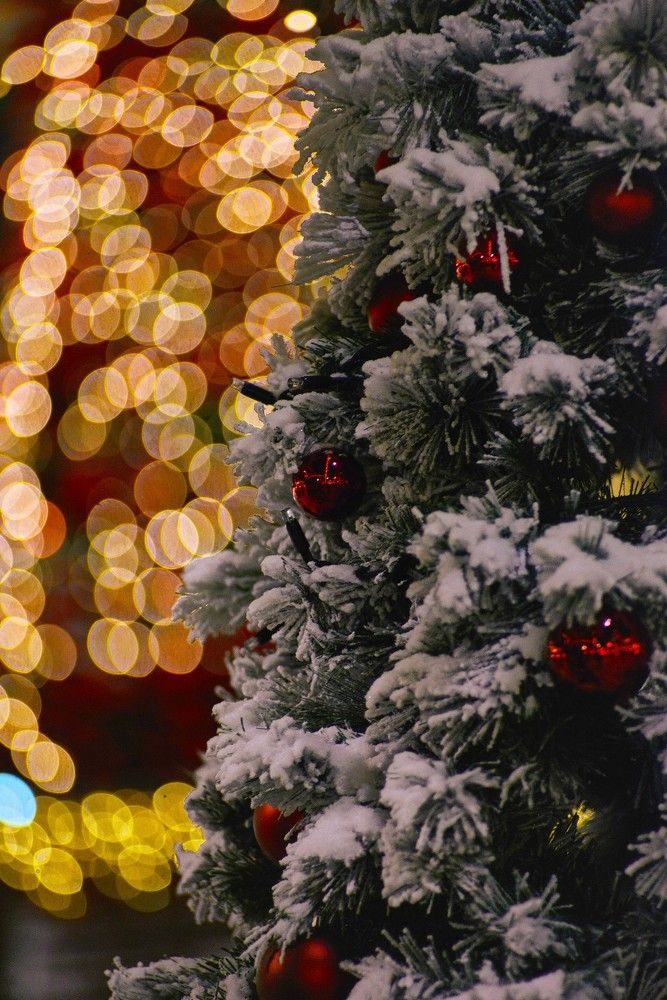 С Наступающим Новым Годом!!!