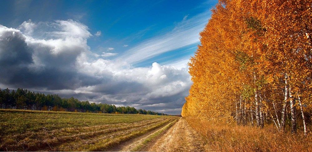 Осень на трассе.