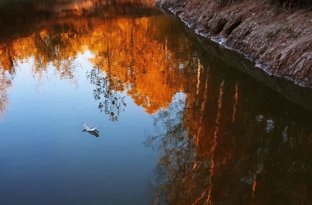 Прощальное письмо