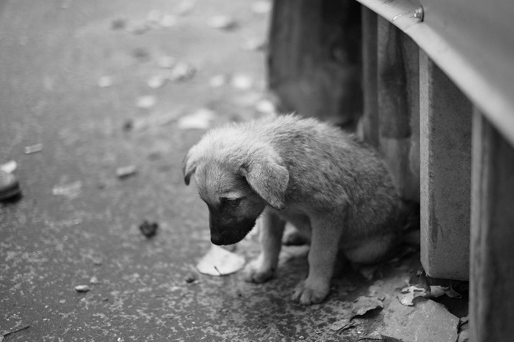 про одиночество