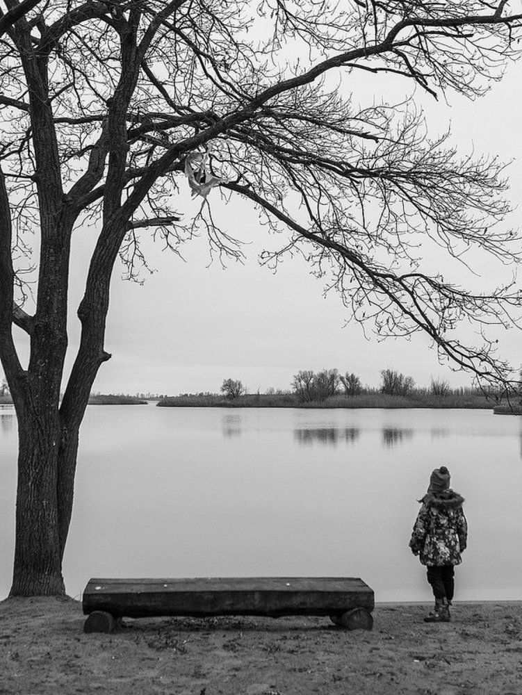 Photograph by Дмитрий Шаров