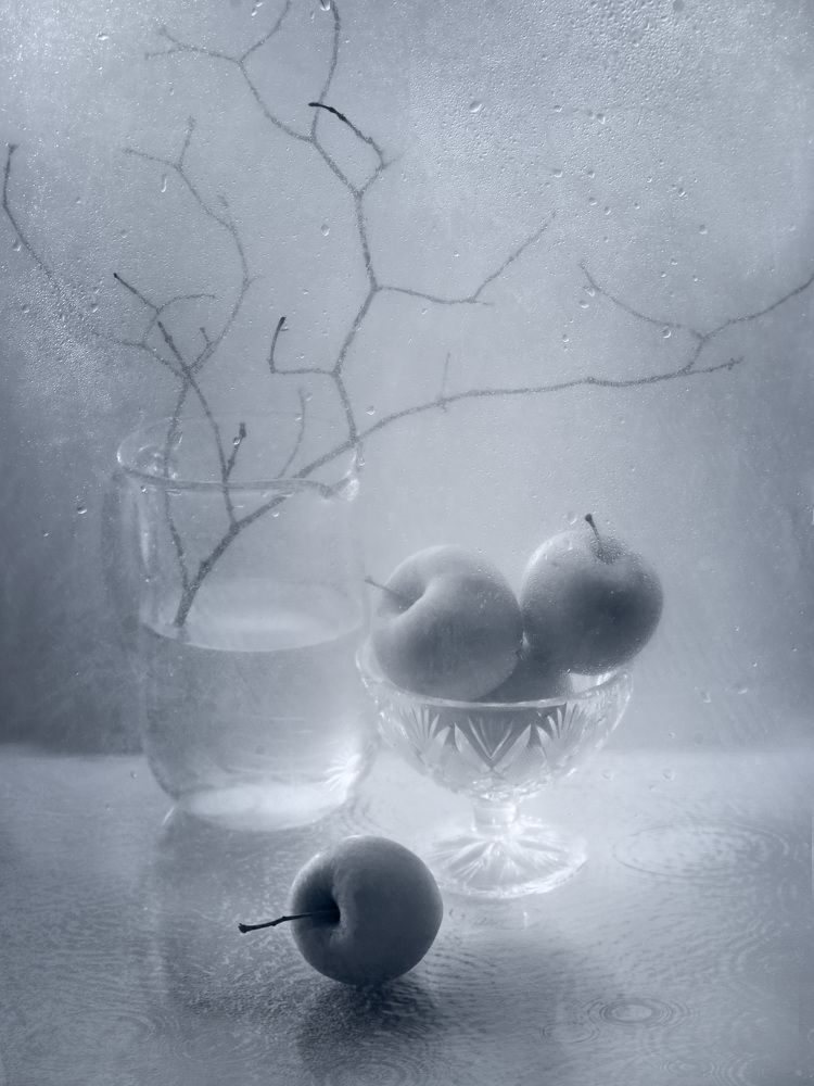 Фотография автора Елена