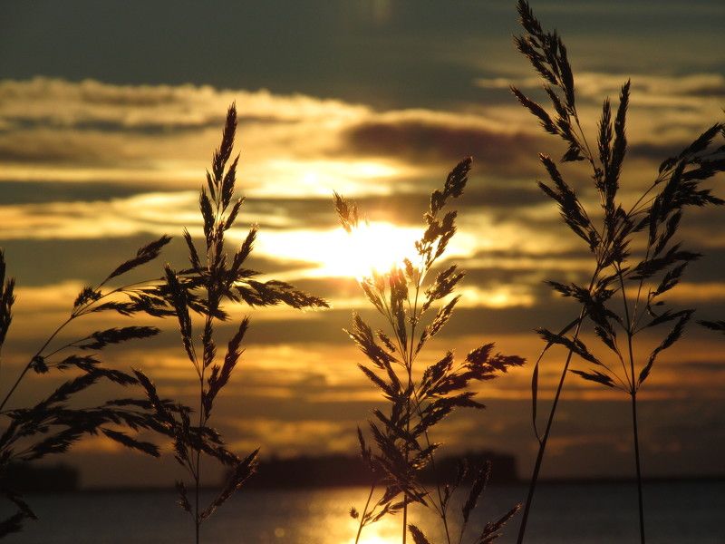 Васинькина Юлия, Russia