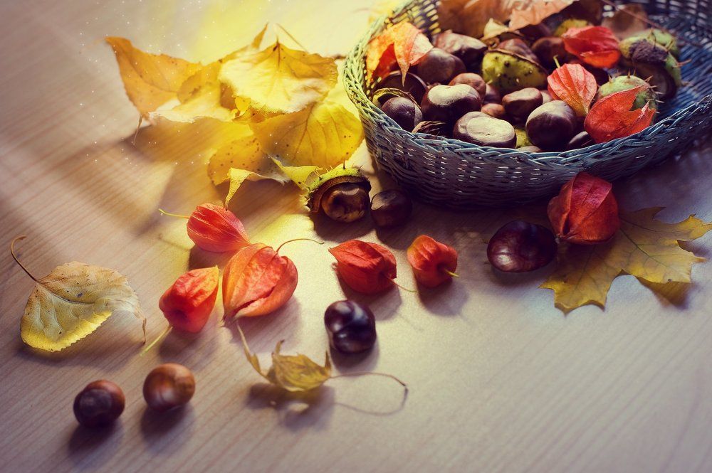 воспоминания об этой осени