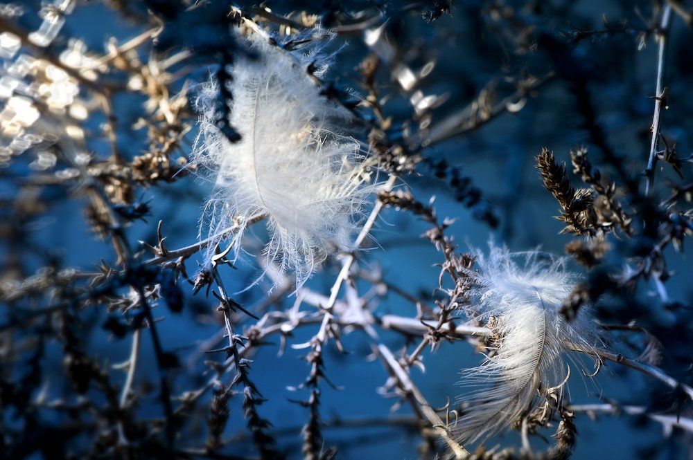 препятствия