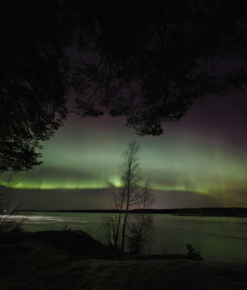 Photograph by Михаил Проскалов