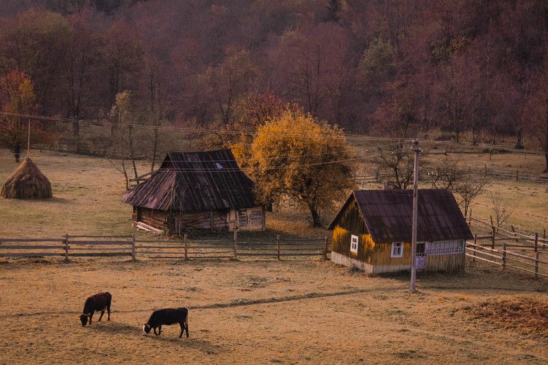 Елена, Kazakhstan