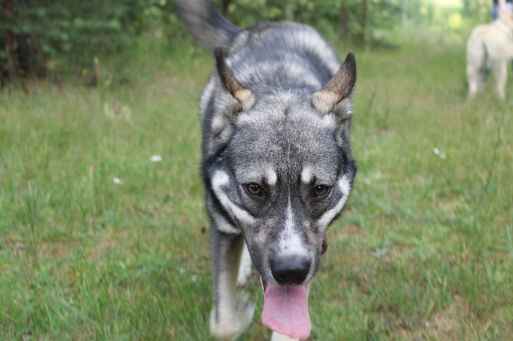 Photograph by Воробьева Катя