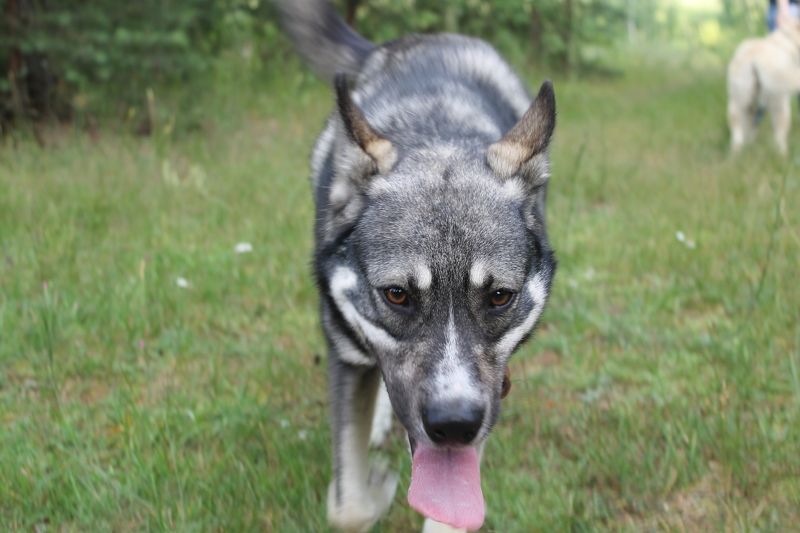 Воробьева Катя, Russia