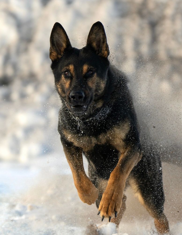 Photograph by Сергей Жиркевич