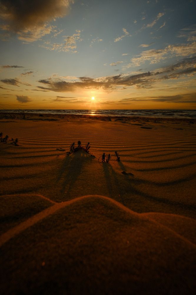 Фотография автора Elvijs Kalnins