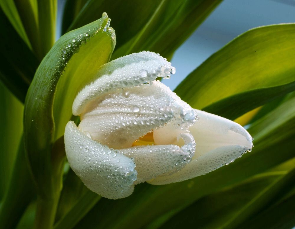 Photograph by Ольга Чибисова