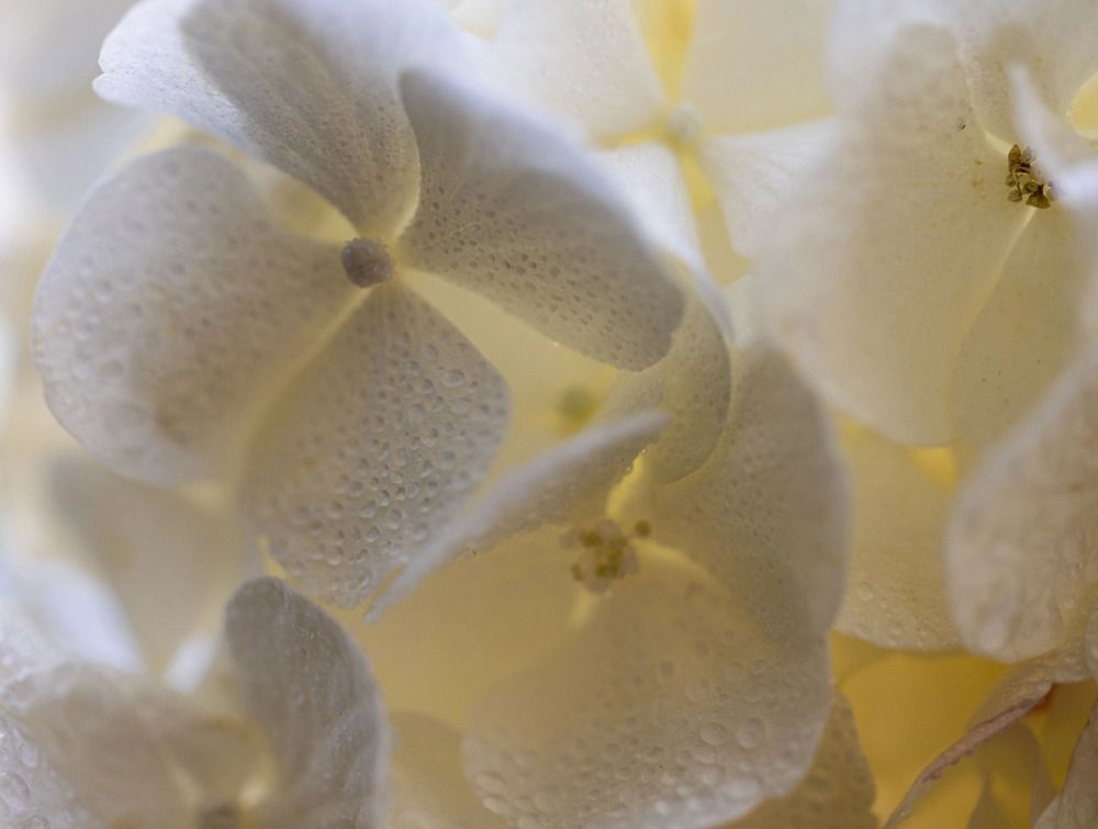 Photograph by Ольга Чибисова