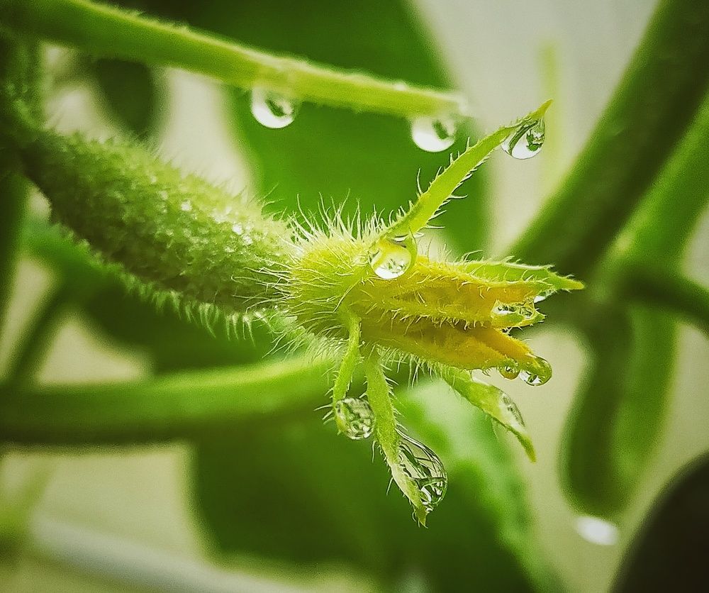 Photograph by Ольга Мартьянова