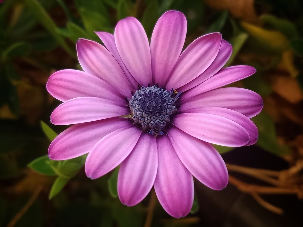 Photograph by Sara Bounab