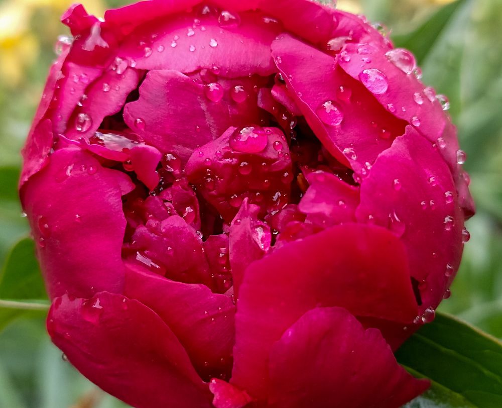 Photograph by Мария Толмачева