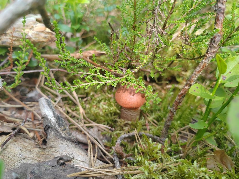 Photograph by Сергей Беляев