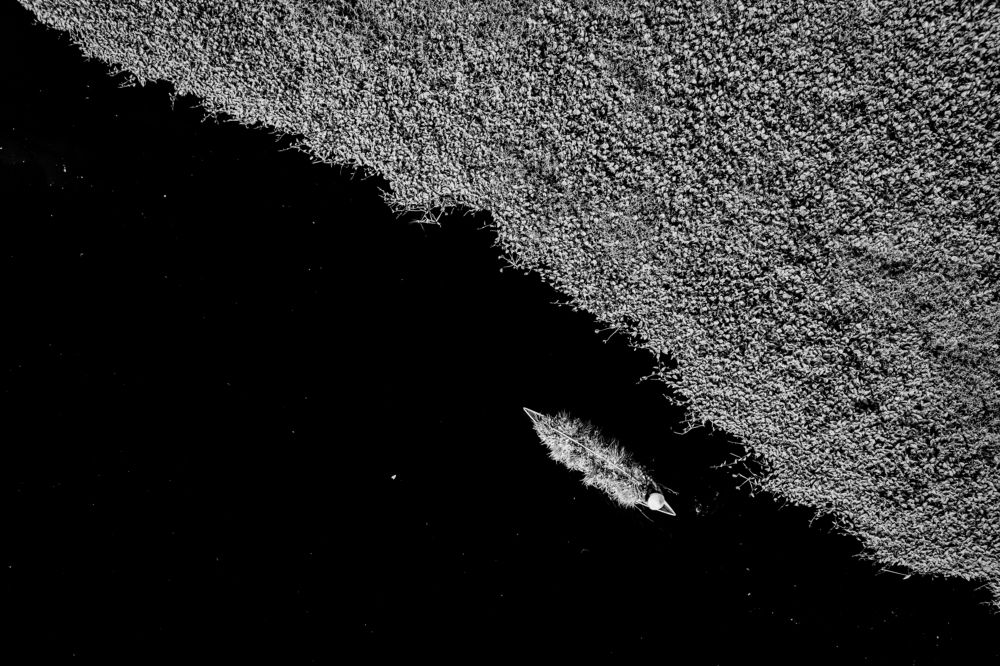 Carry the grass home