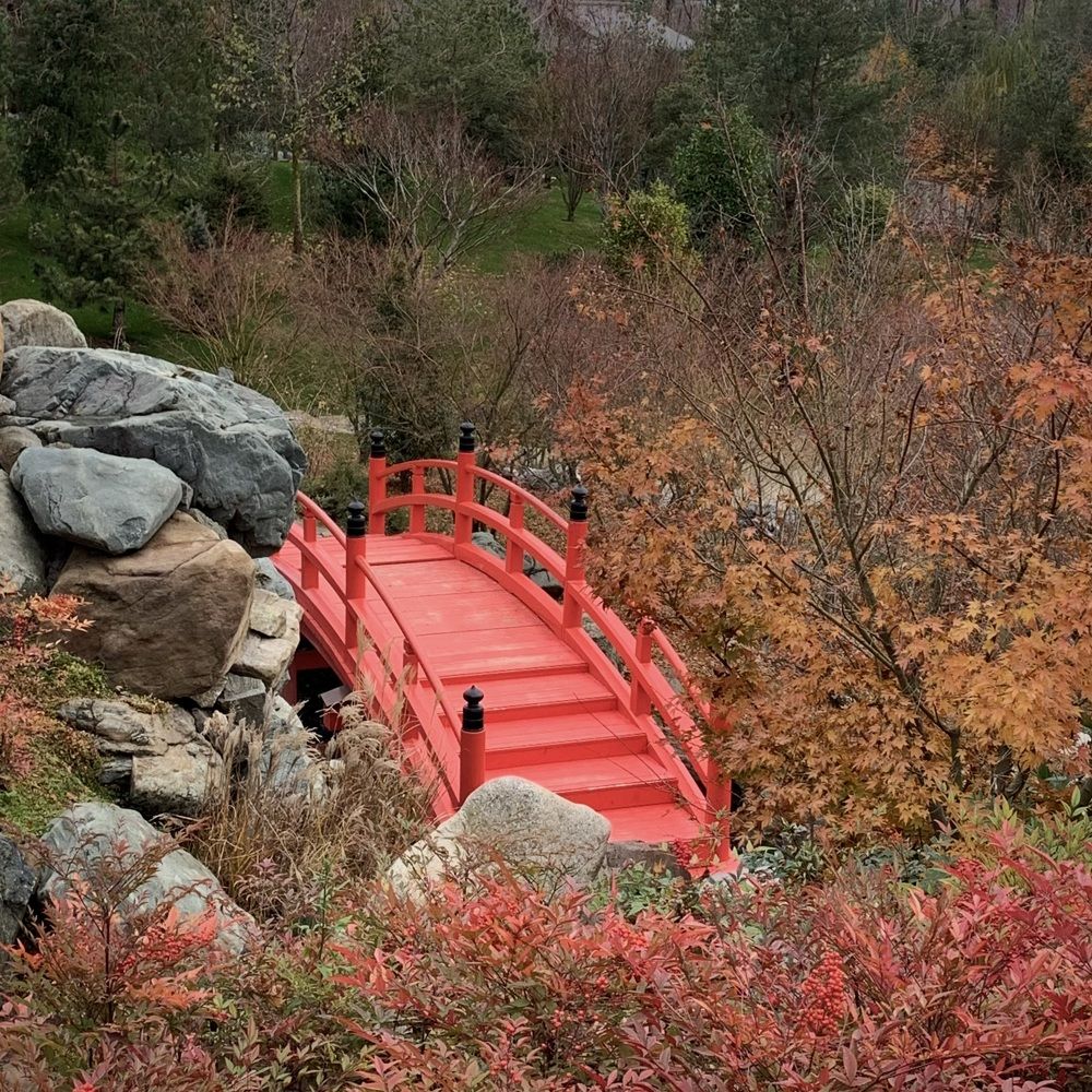 Photograph by Татьяна Семёнова