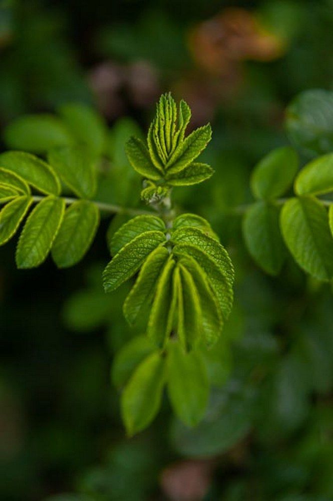 Фотография автора Виталий Дузь