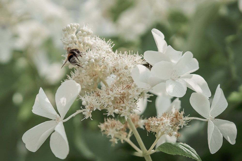Photograph by Марина Суздаль