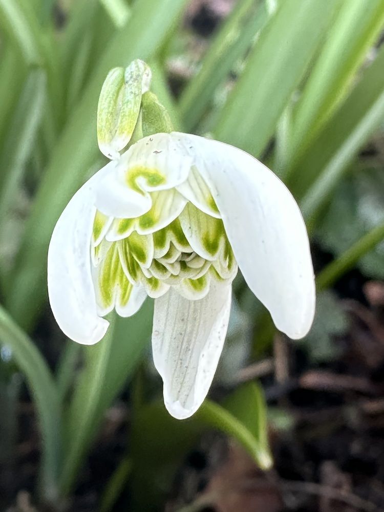 Photograph by Анастасия Лукьянюк