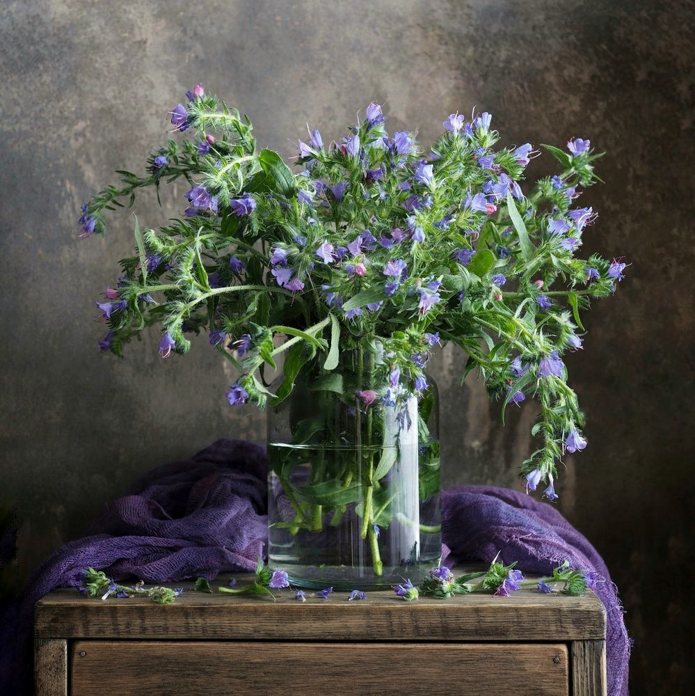 Photograph by Нина Кулинцева