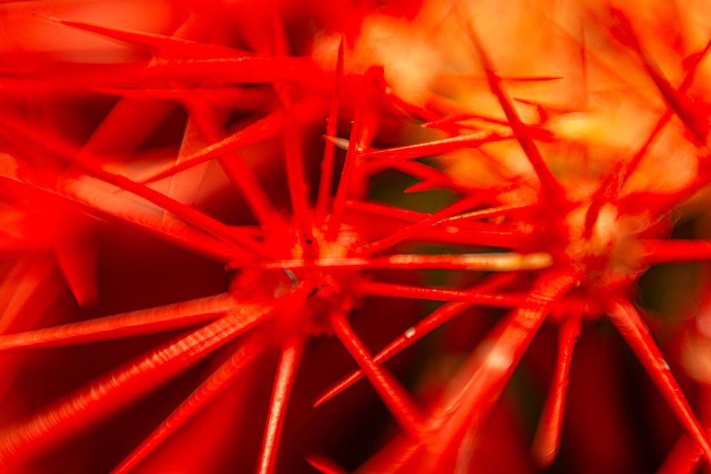 Фотография автора Михаил Кругов