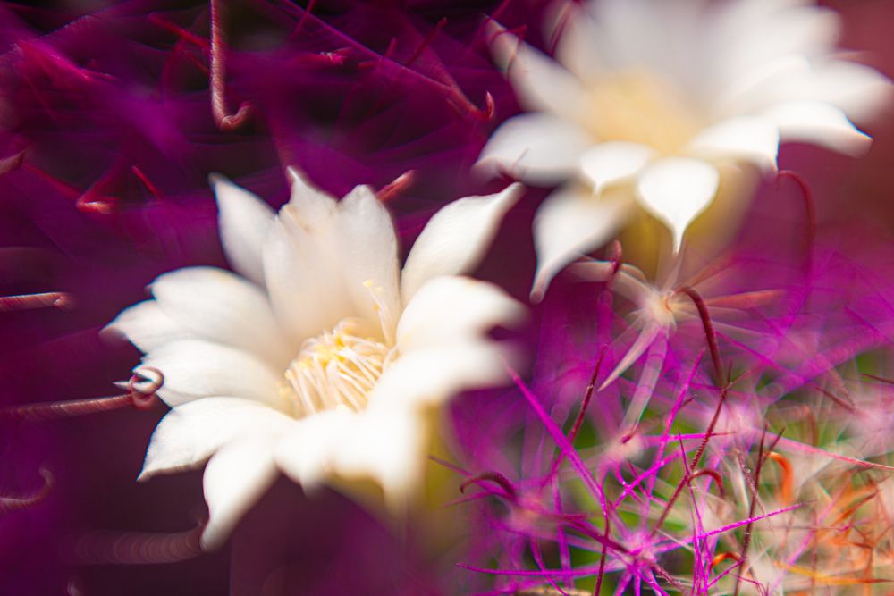 Фотография автора Михаил Кругов