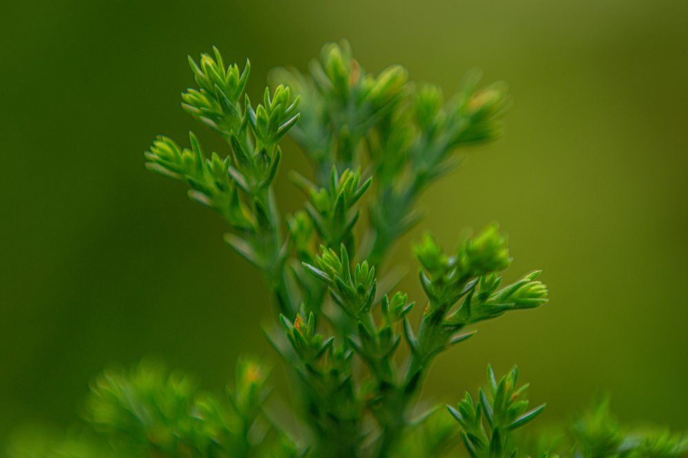 Фотография автора Михаил Кругов