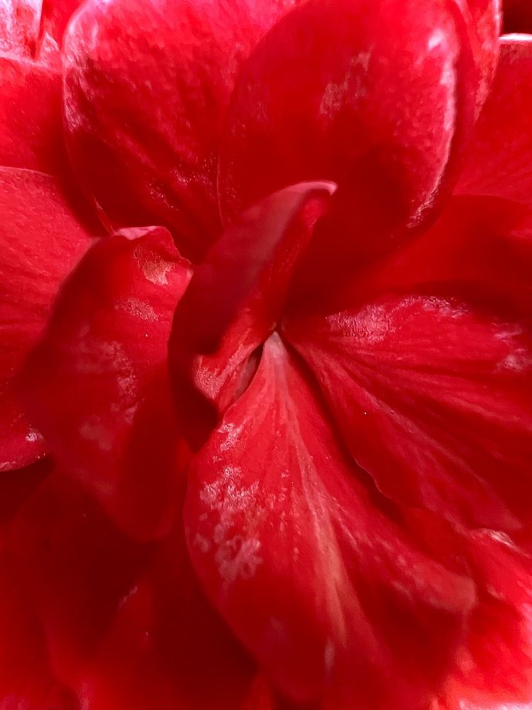 Photograph by Ирина Швейнова