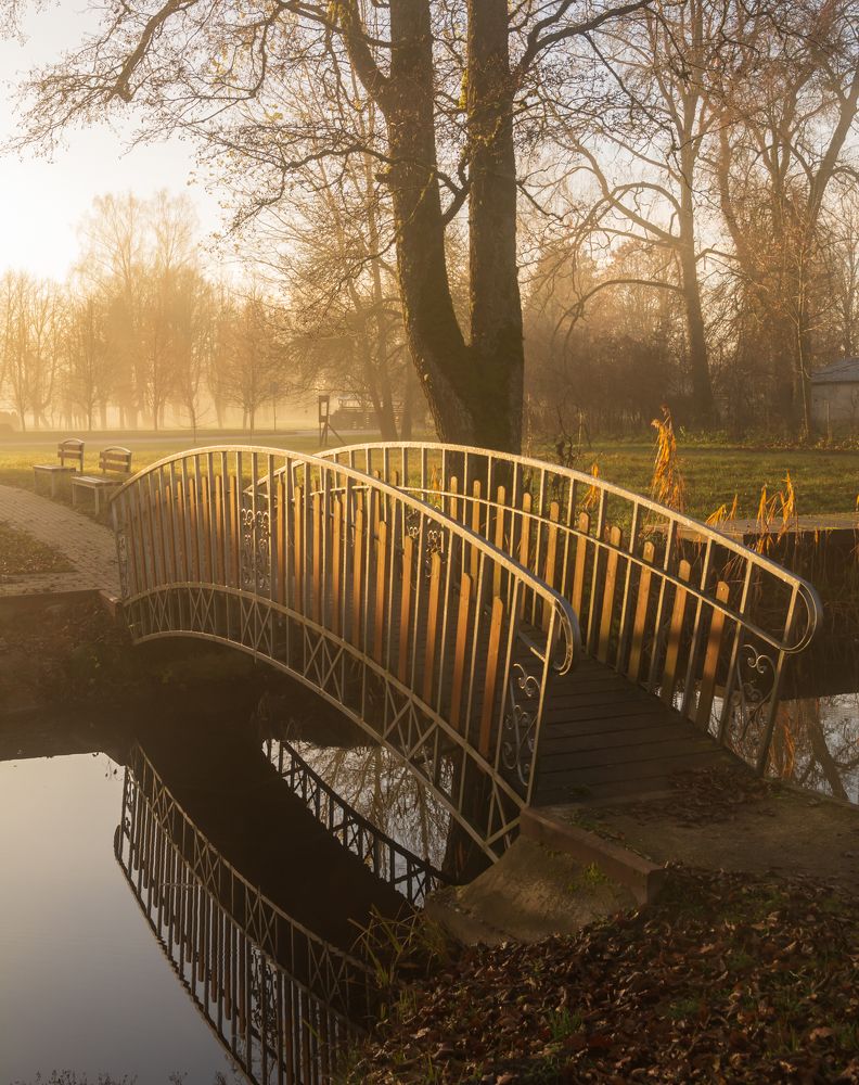 Photograph by Agita Leimane