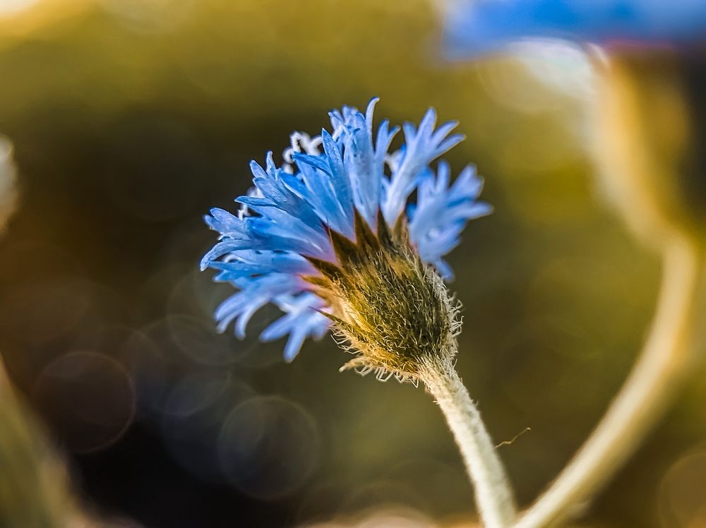 Photograph by Praveen