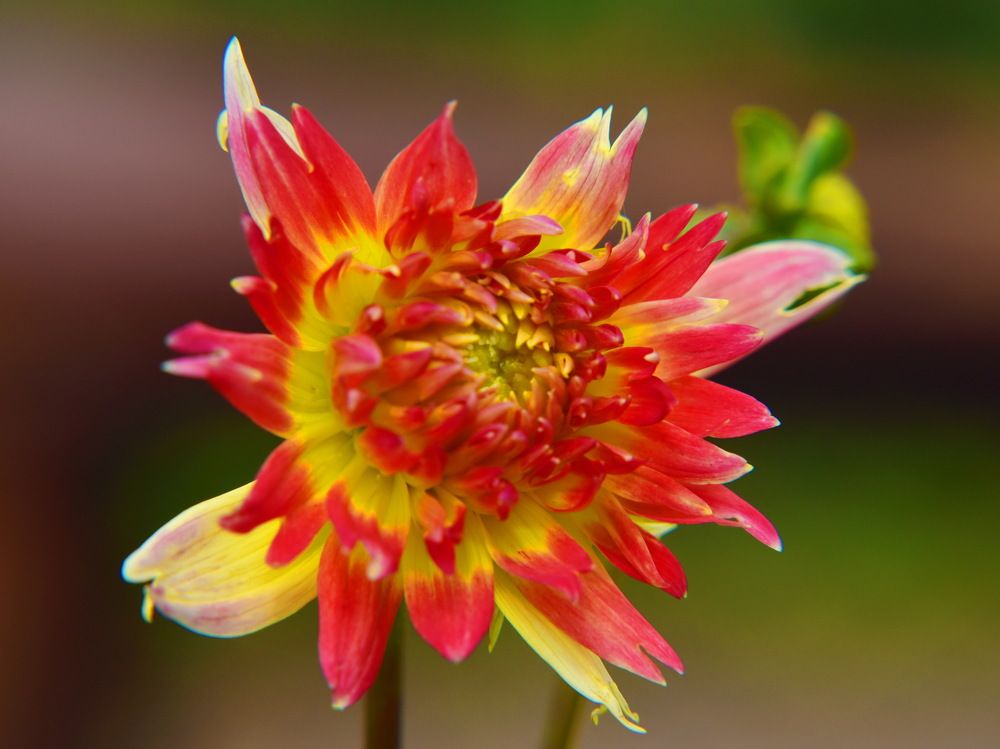 Photograph by Андрей Митькин