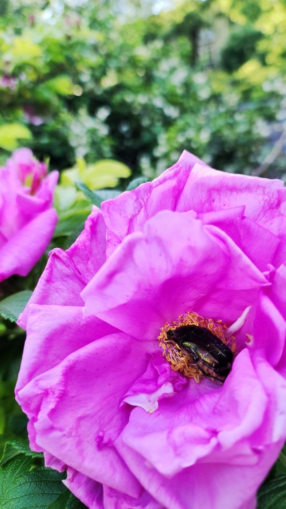 Photograph by Калюнова Наталья