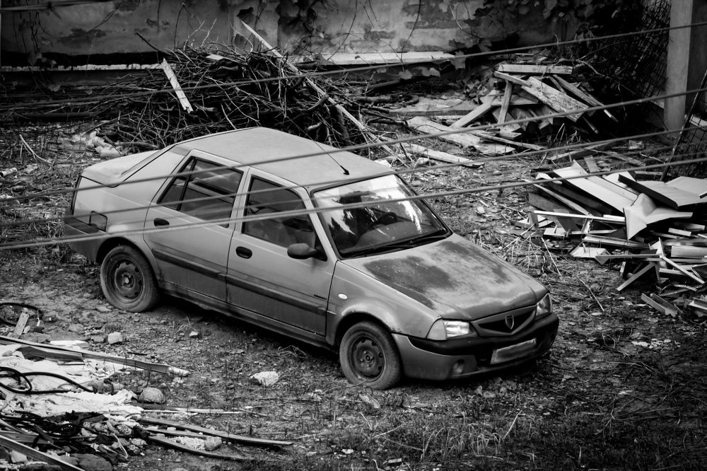 Photograph by Grădinaru Catalin