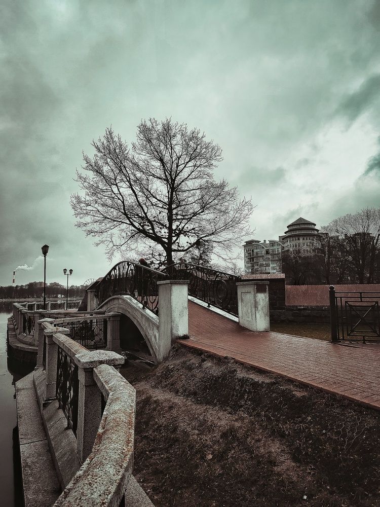 Photograph by Олеся Хижко