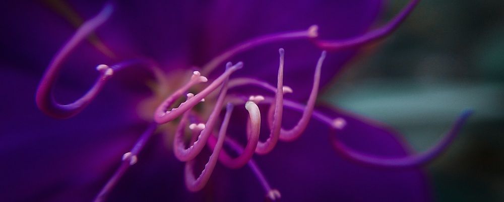 Photograph by lahiru sandaruwan