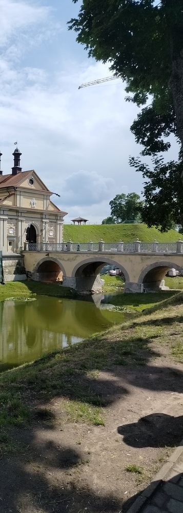 Фотография автора Наталья Драгун