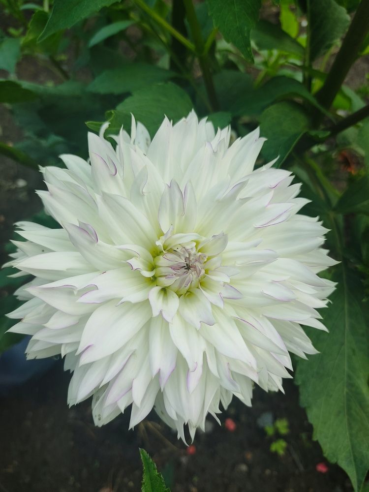 Photograph by Наталья Билай