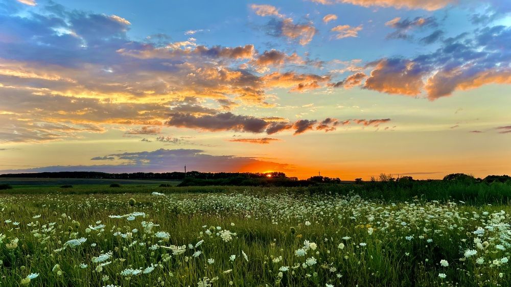 Photograph by Марина Козлова