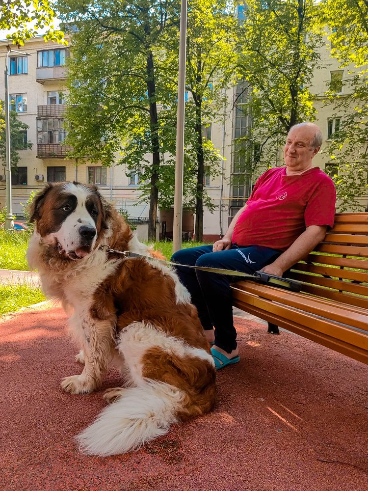 Photograph by Александра Зарипова