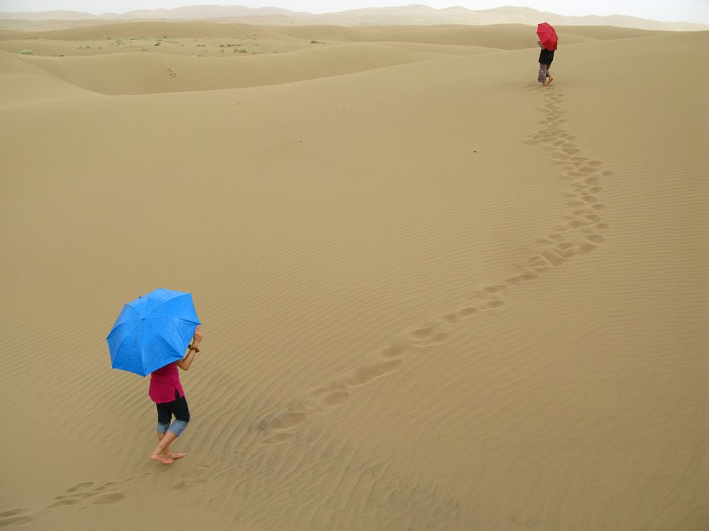 Фотография автора Mir-Kian Roshannia