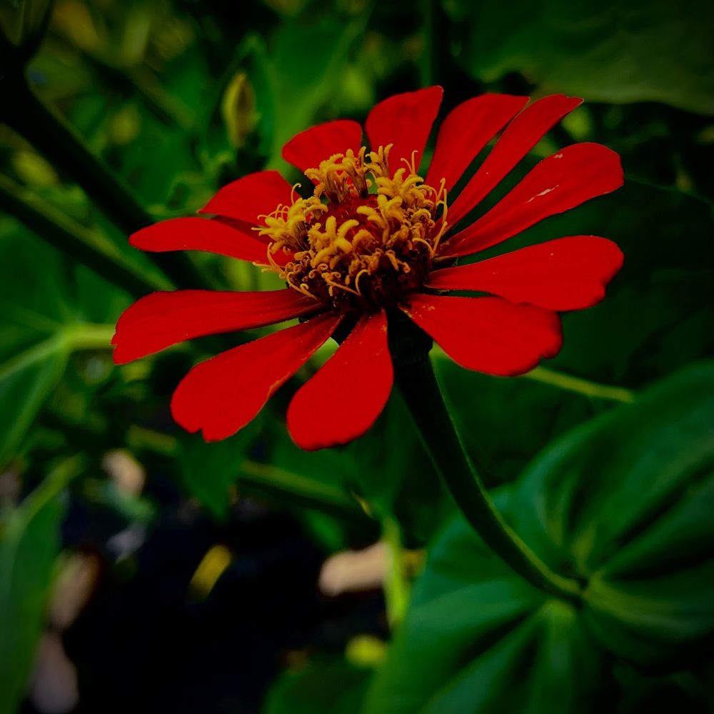 Photograph by Марина Козлова