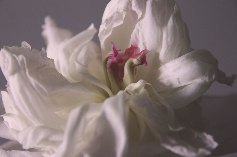 Photograph by Екатерина Кузнецова