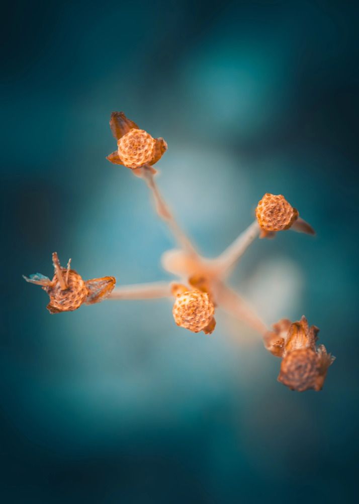 Photograph by дмитрий игнатов