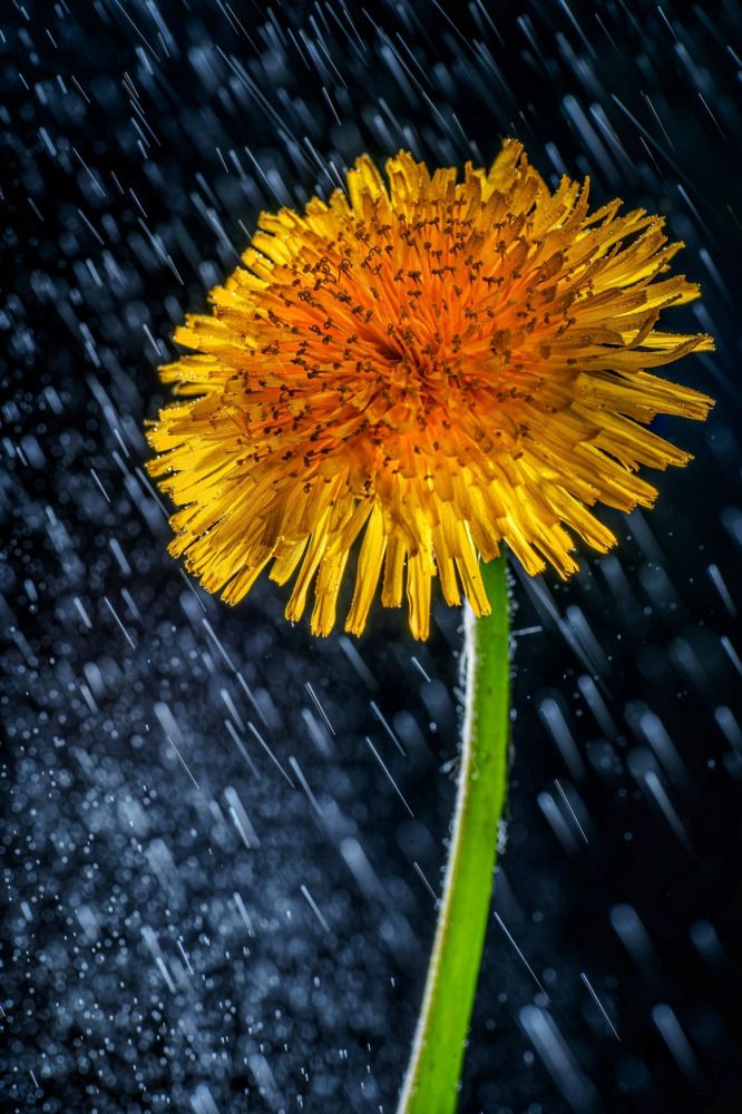 Photograph by дмитрий игнатов