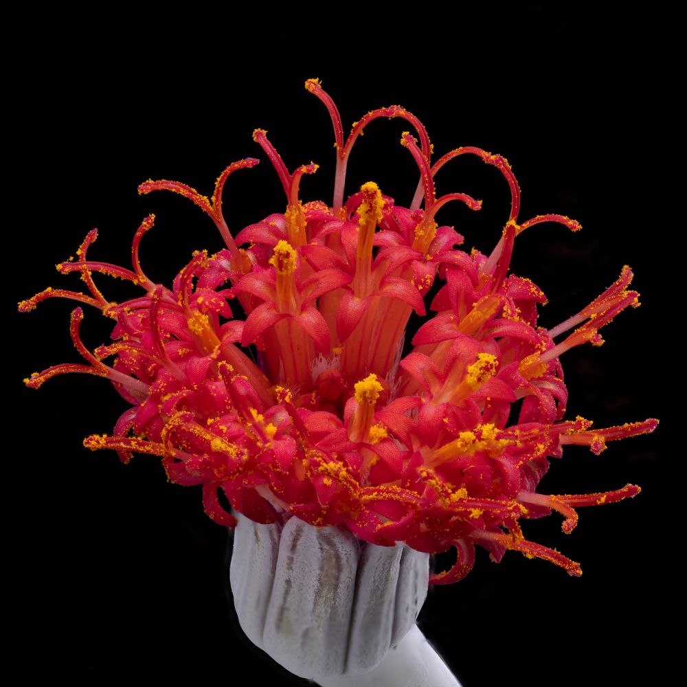 Photograph by Пономарев Илья